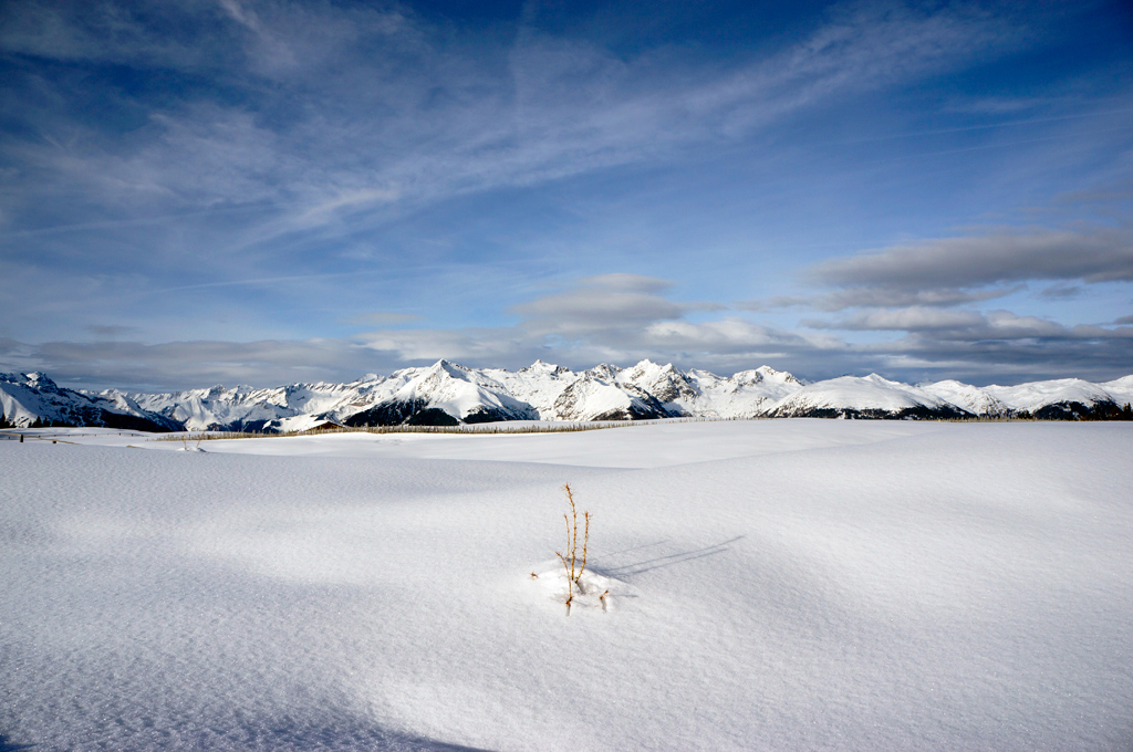 Winter8