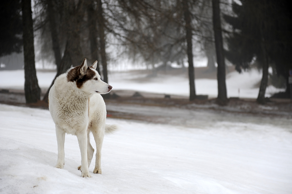 winter5