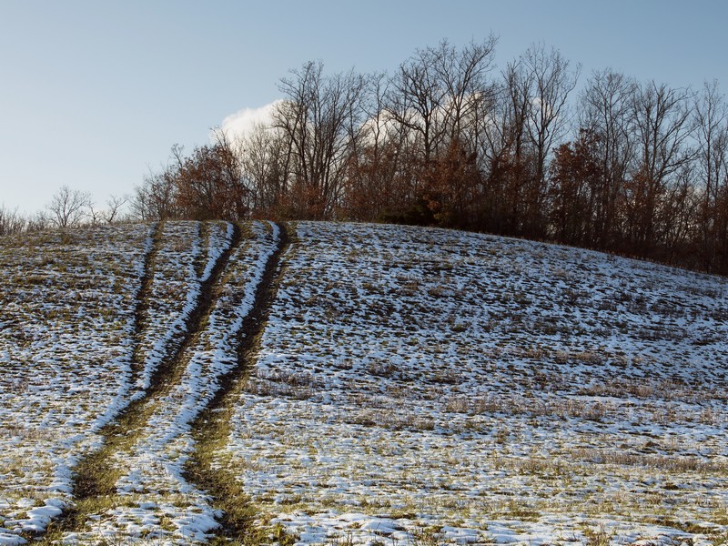 ...piccola nevicata...