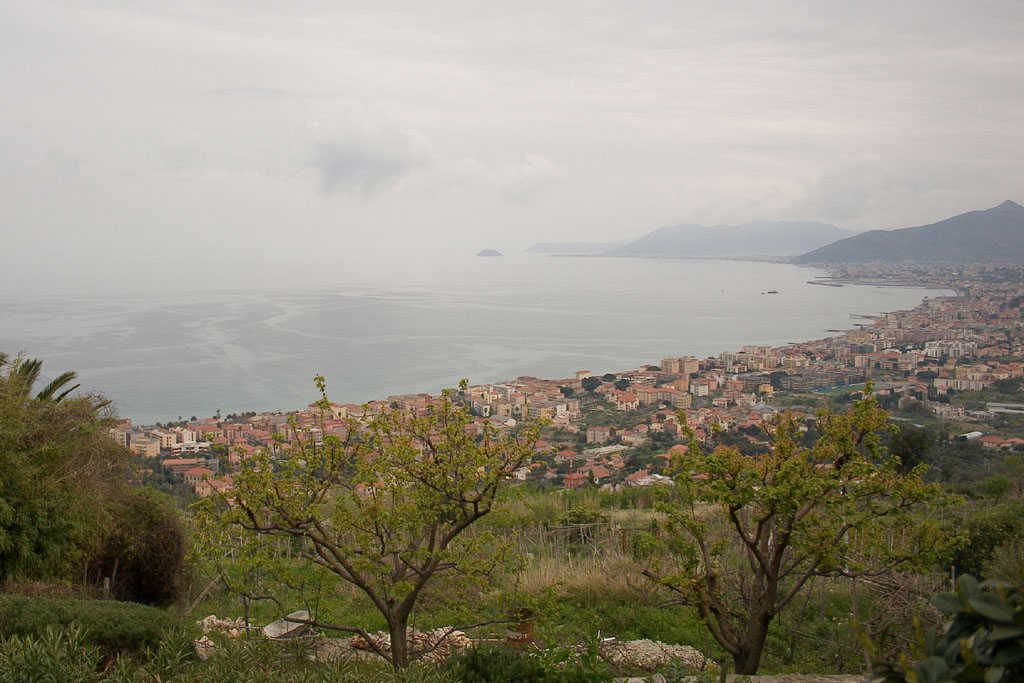 Panorama cupo