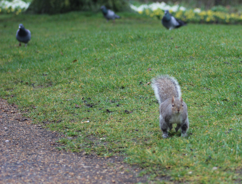 Reportage Londra