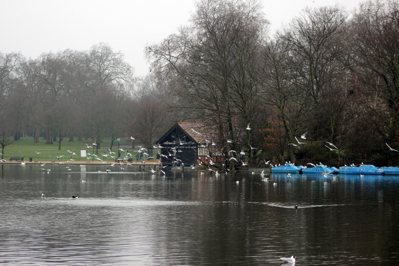 Reportage Londra