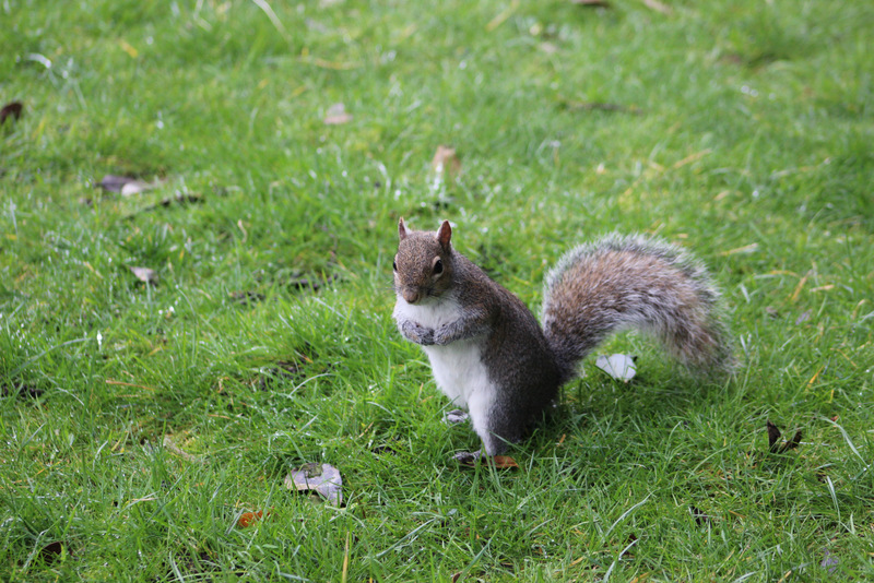 Reportage Londra