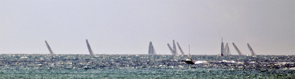 Regata di flotta
