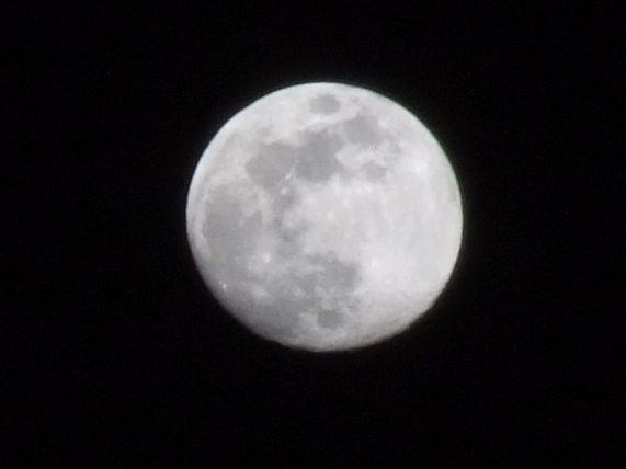 Luna
