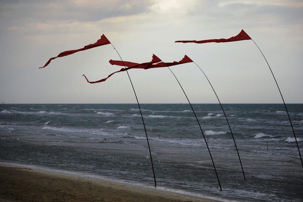 Volare  sognare...