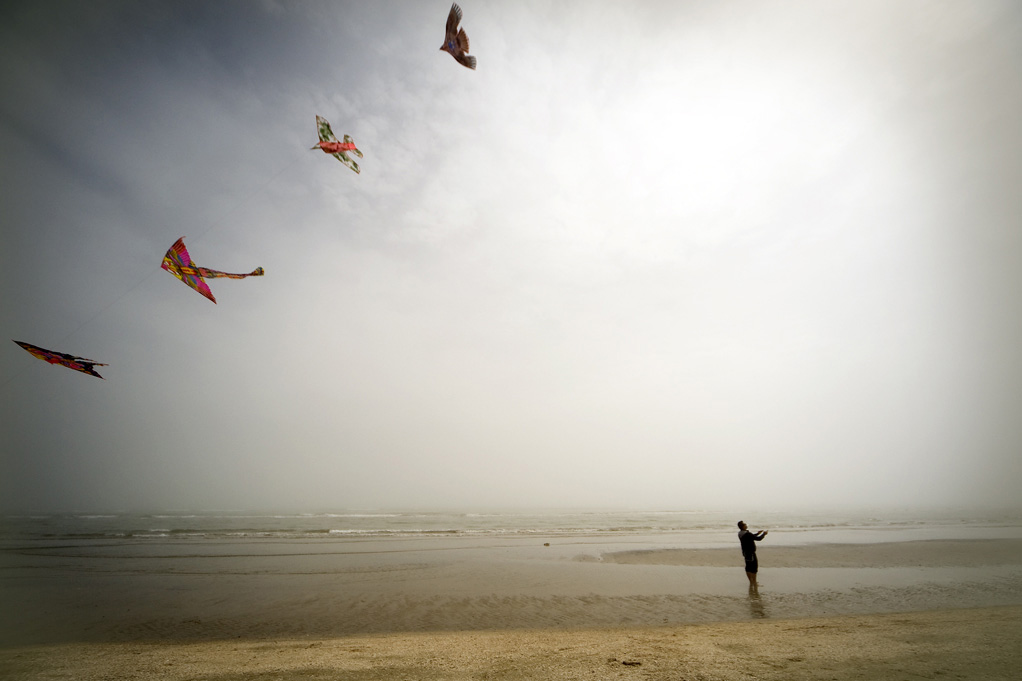 Volare  sognare...