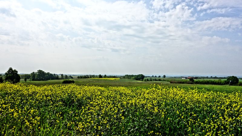 Paesaggio monferrino