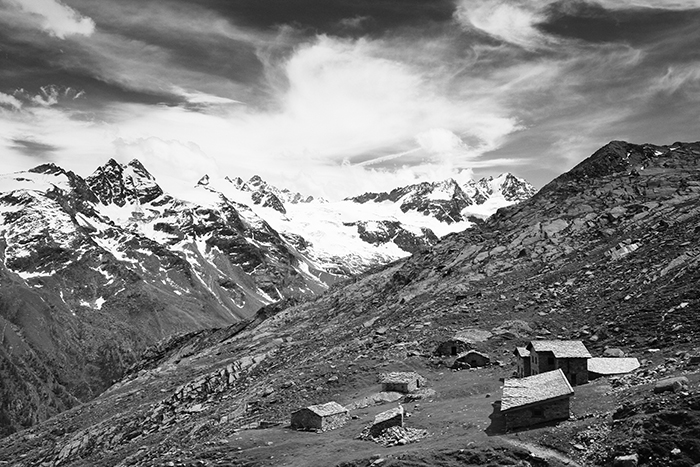Alti pascoli (val di Cogne)