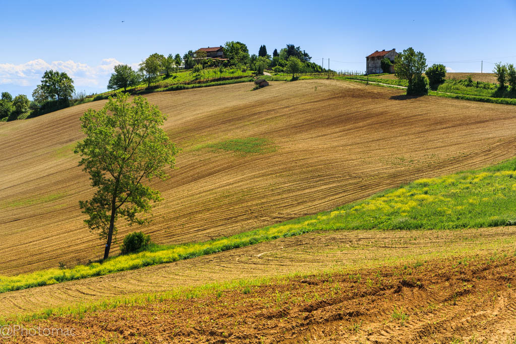 The Beauty of Monferrato #4
