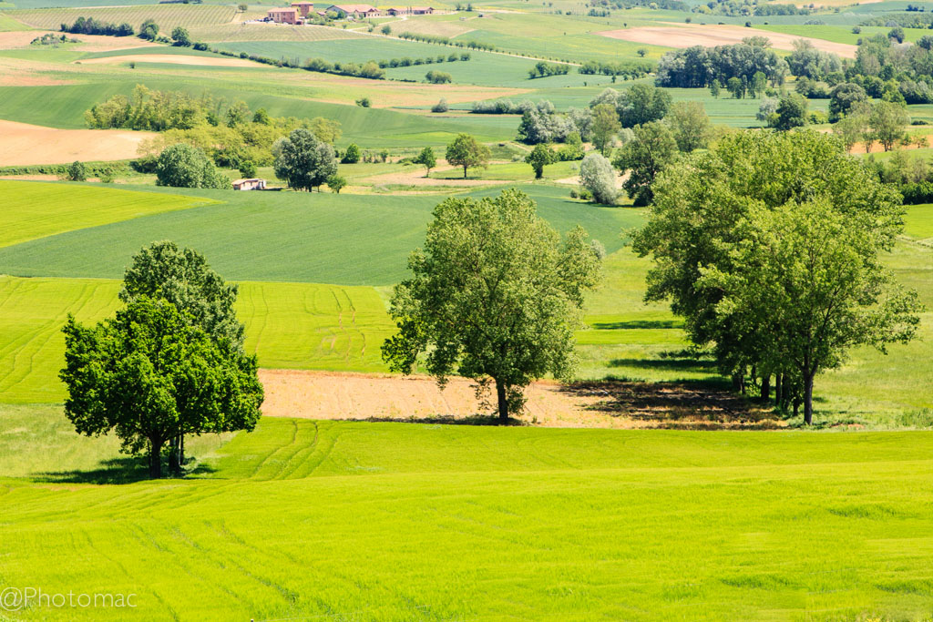 The Beauty of Monferrato #5