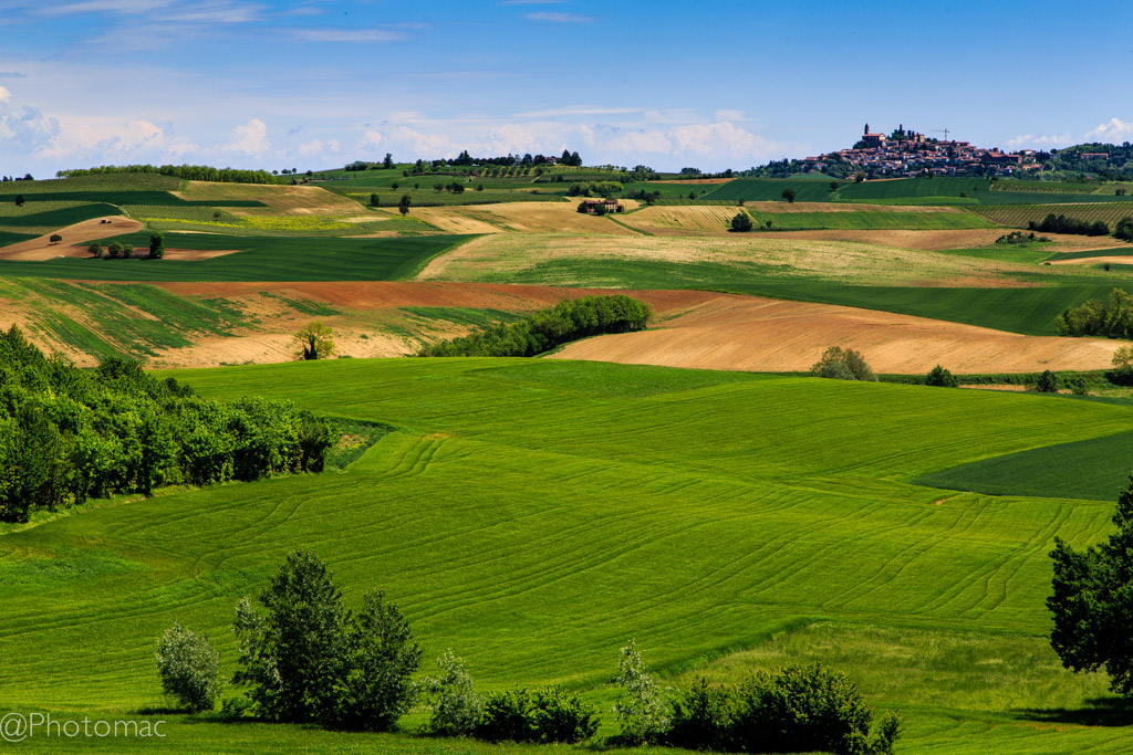 the Beauty of Monferrato #6