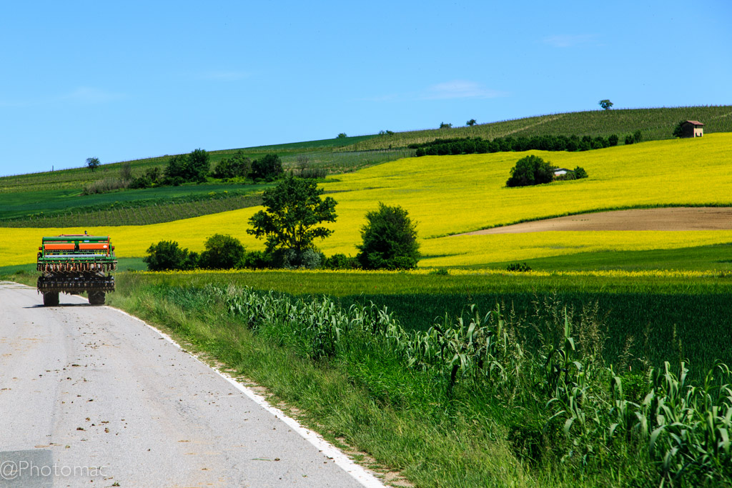The Beauty of Monferrato #8