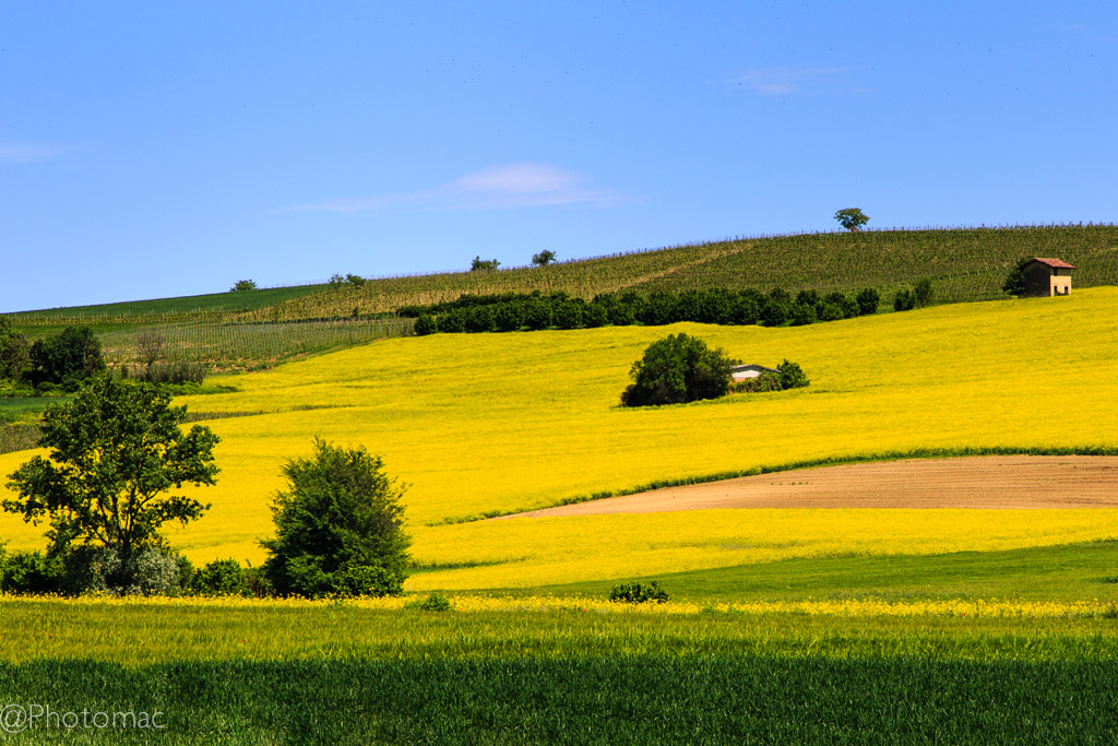 The Beauty of Monferrato #9