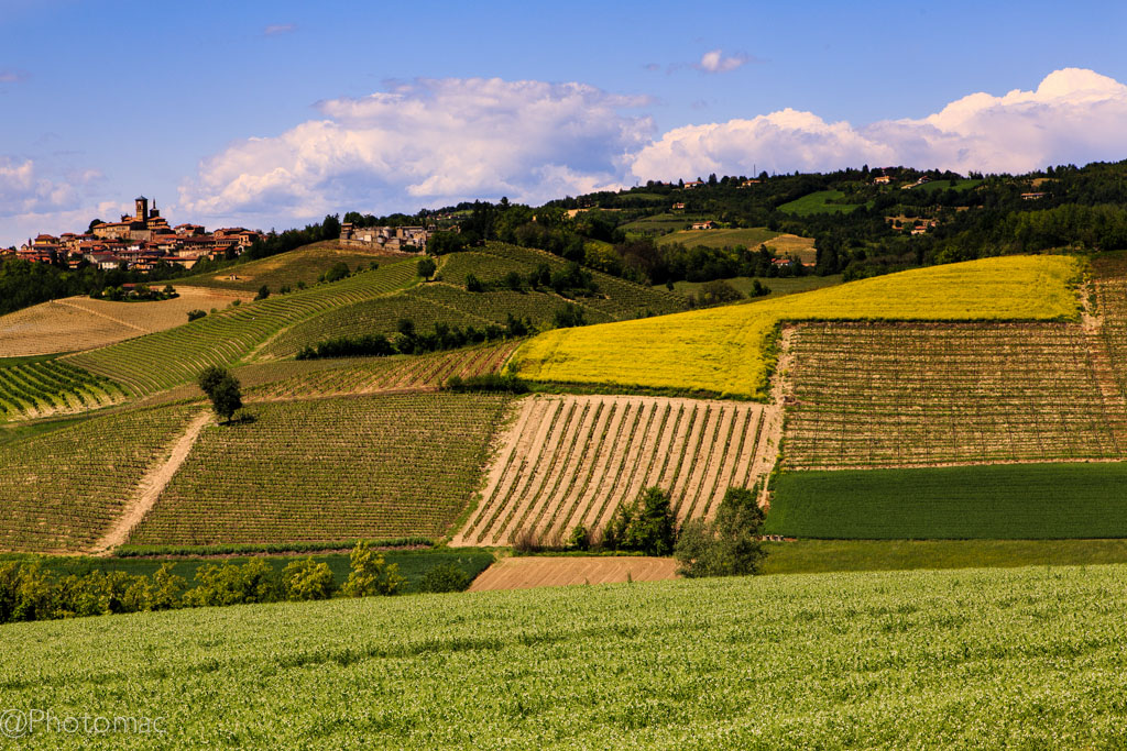 The beauty of Monferrato #10