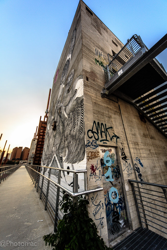 Murales #5