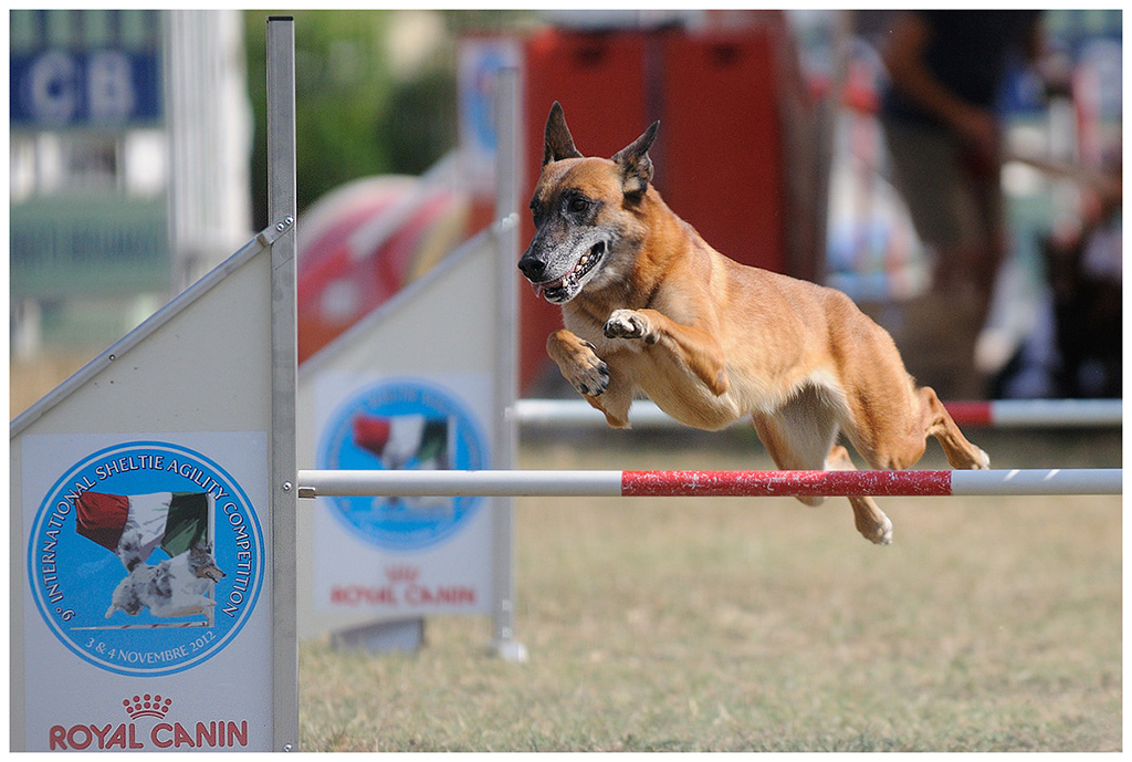 agility