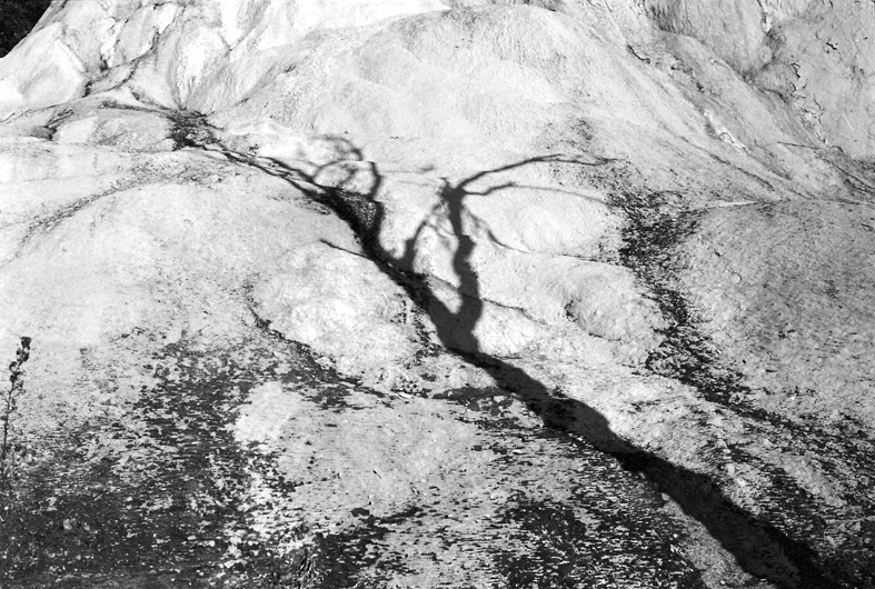 L'ombra sul calcare