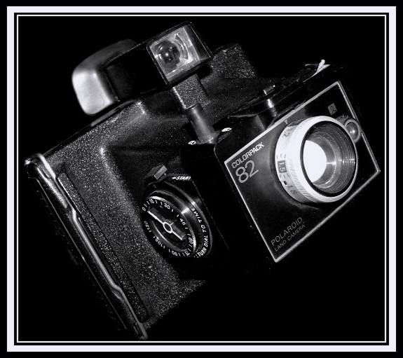 Polaroid