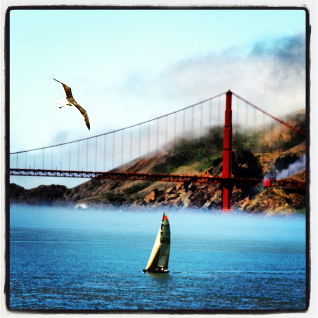 Alcatraz Island