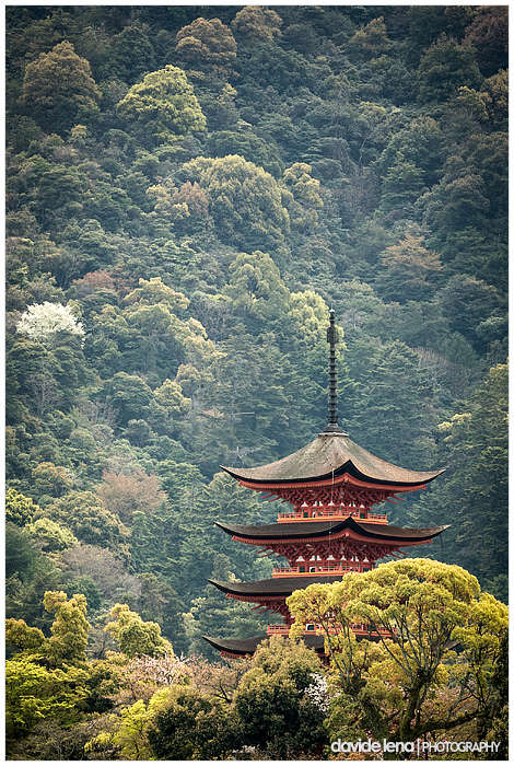 Giappone 2013 #17