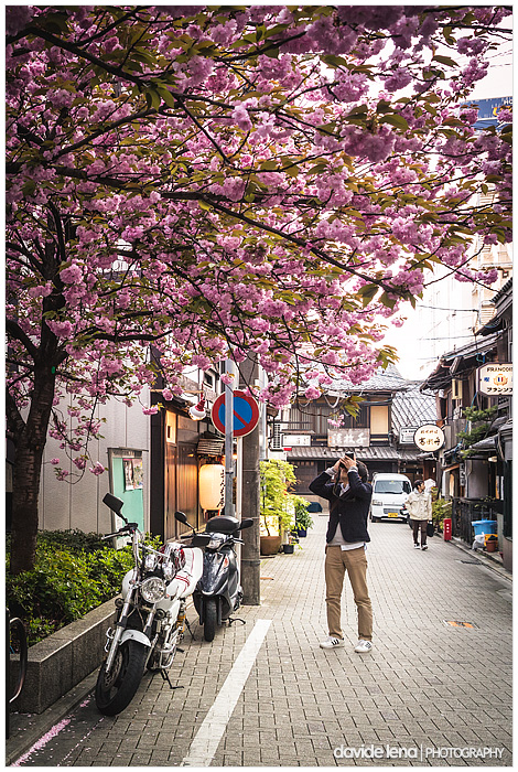 Giappone 2013 #13