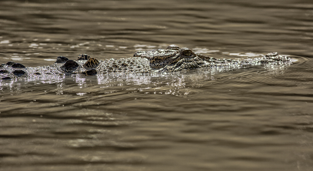 incontri ravvicinati australiani incontri ravvicinati australiani