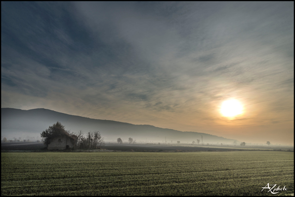 Winter Sun