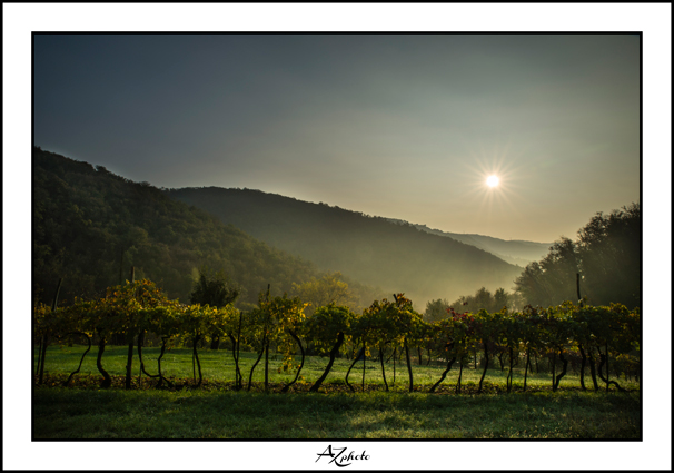 Morning Sun