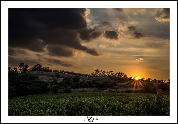 Sunset Hill
