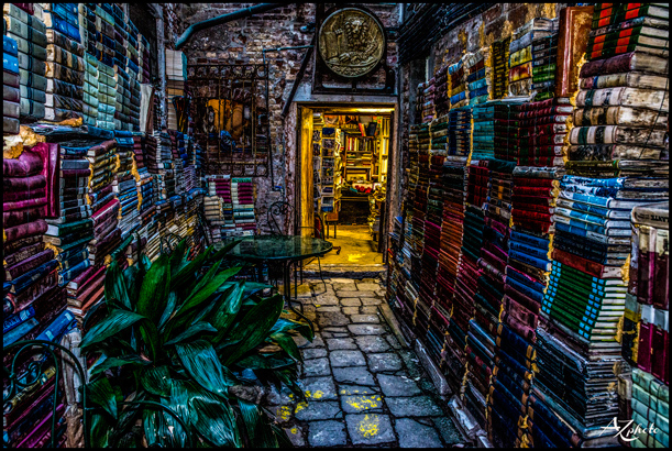 Venice Library
