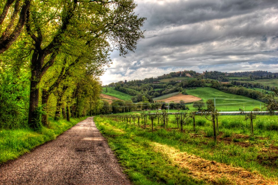 Urbino