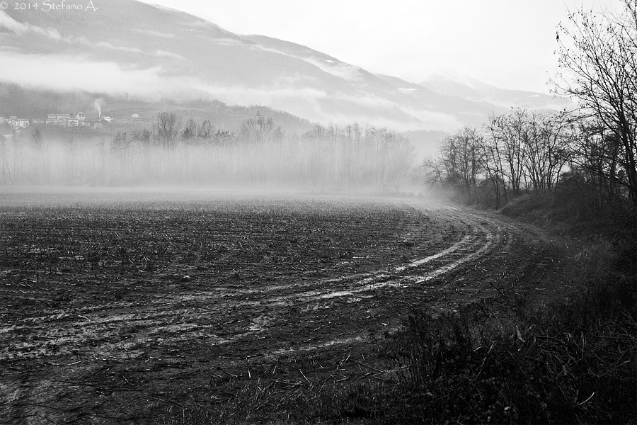 Misty morning