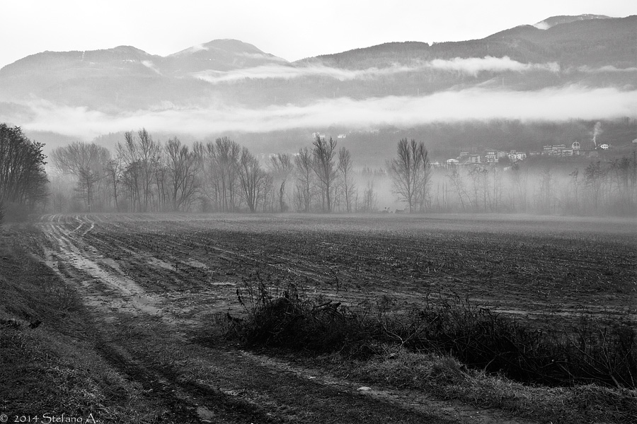 Misty morning 2