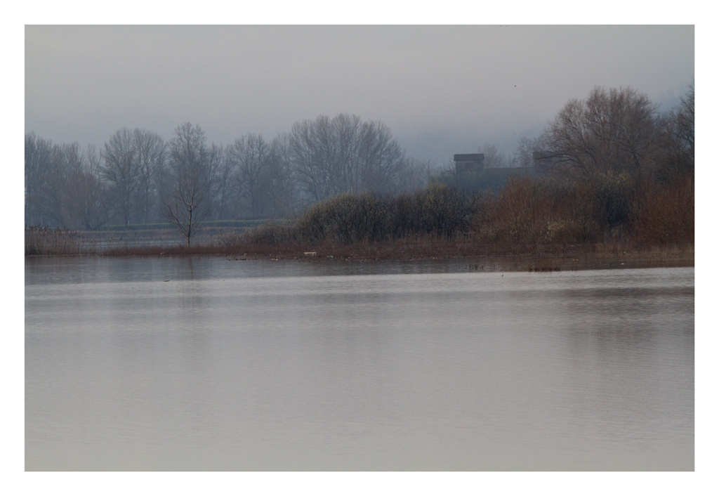 Panorama nel padule