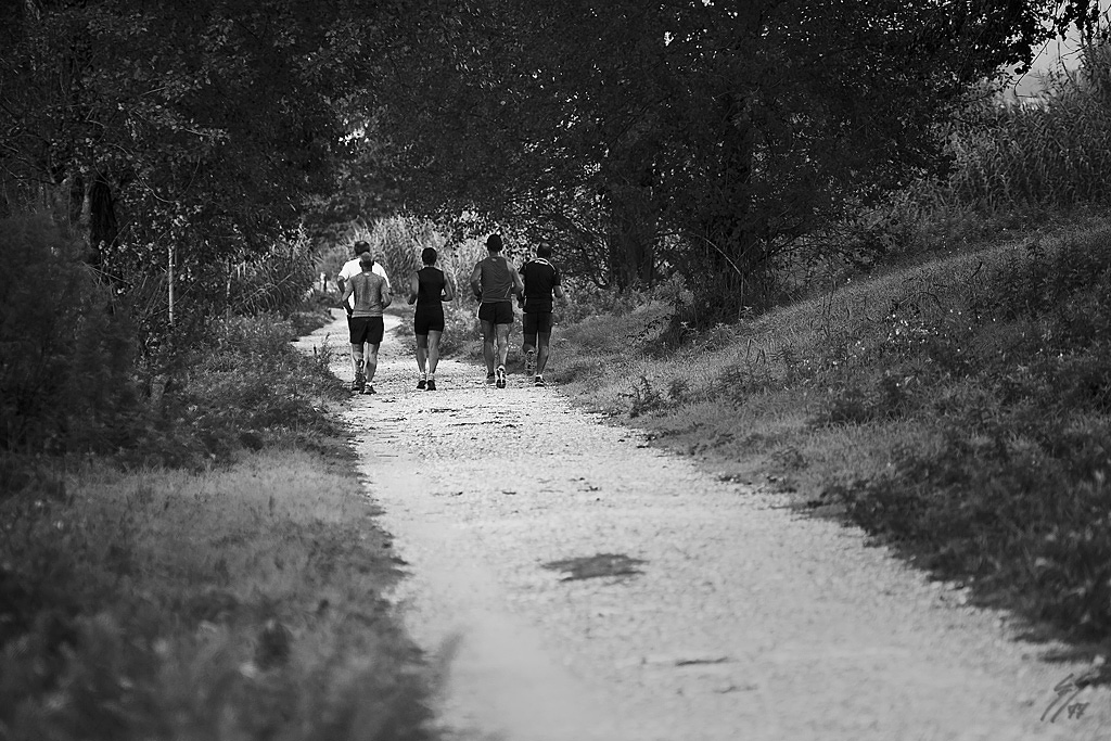 Runner