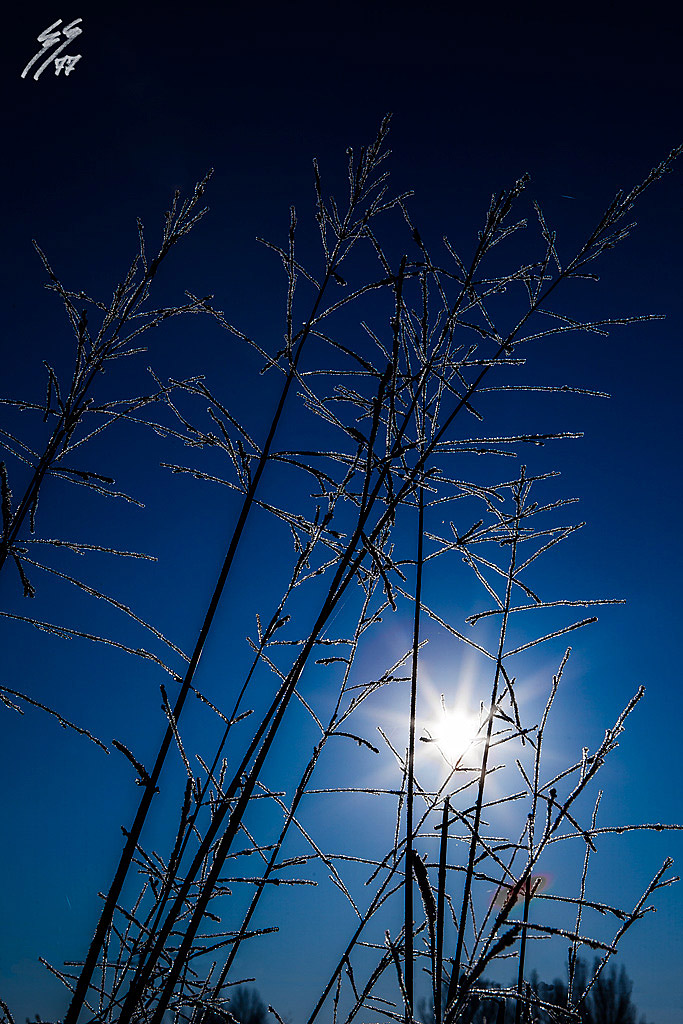 Ma quant' bello l'inverno...