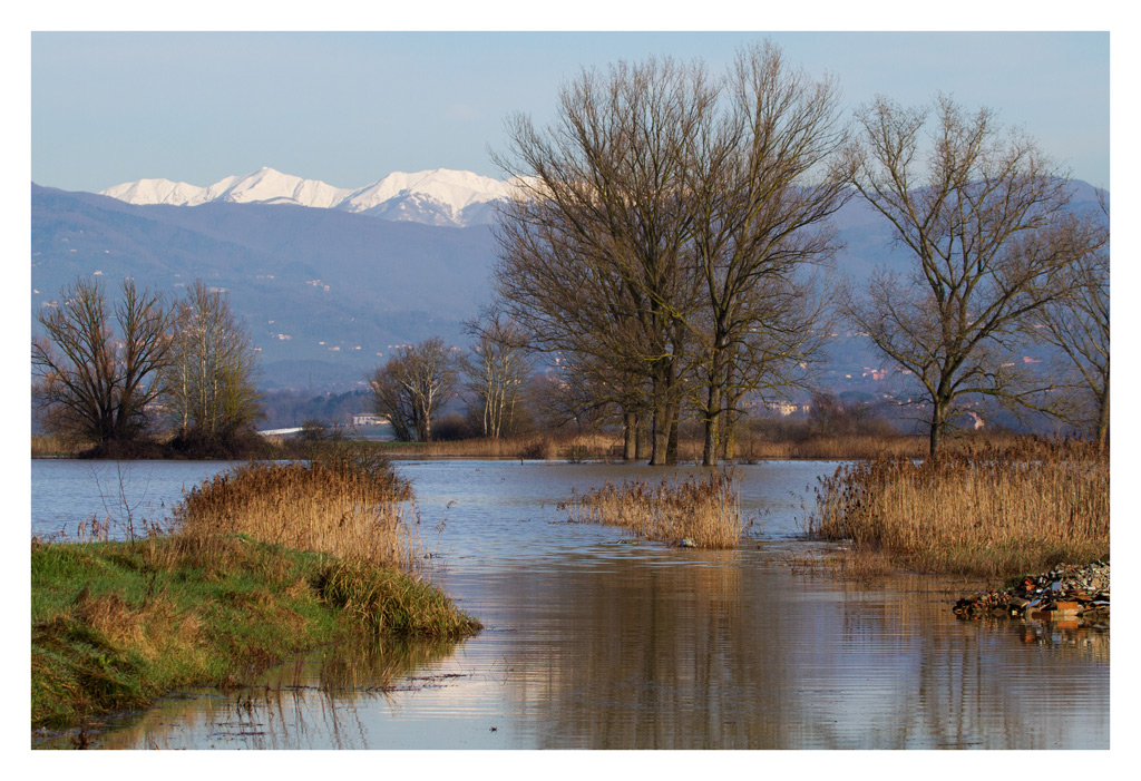 Panorama nel padule