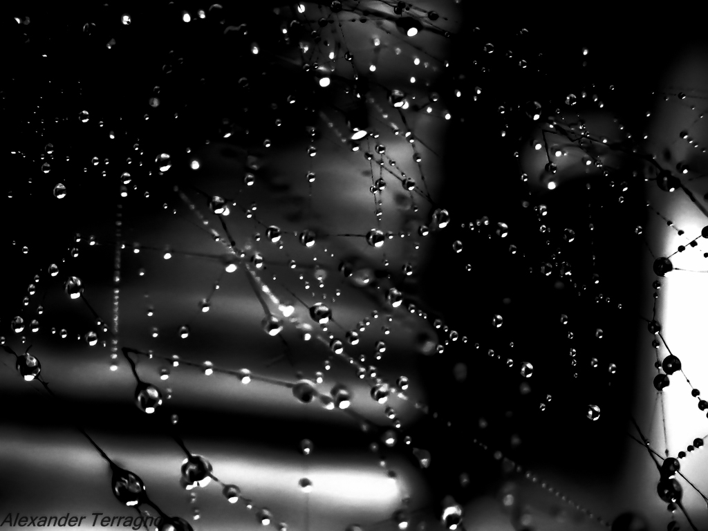 Perle nere