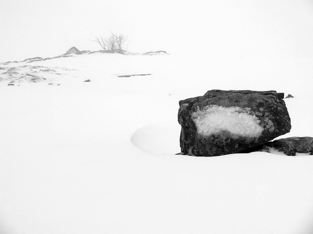 Bianco di Aprile 2