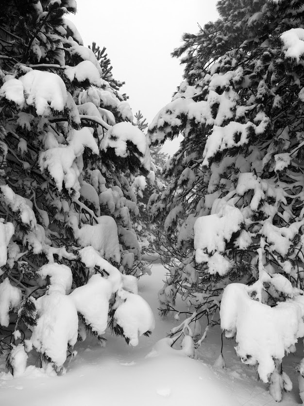 Bianco di Aprile 5