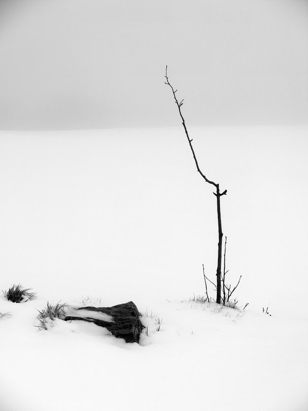 Bianco di Aprile 6
