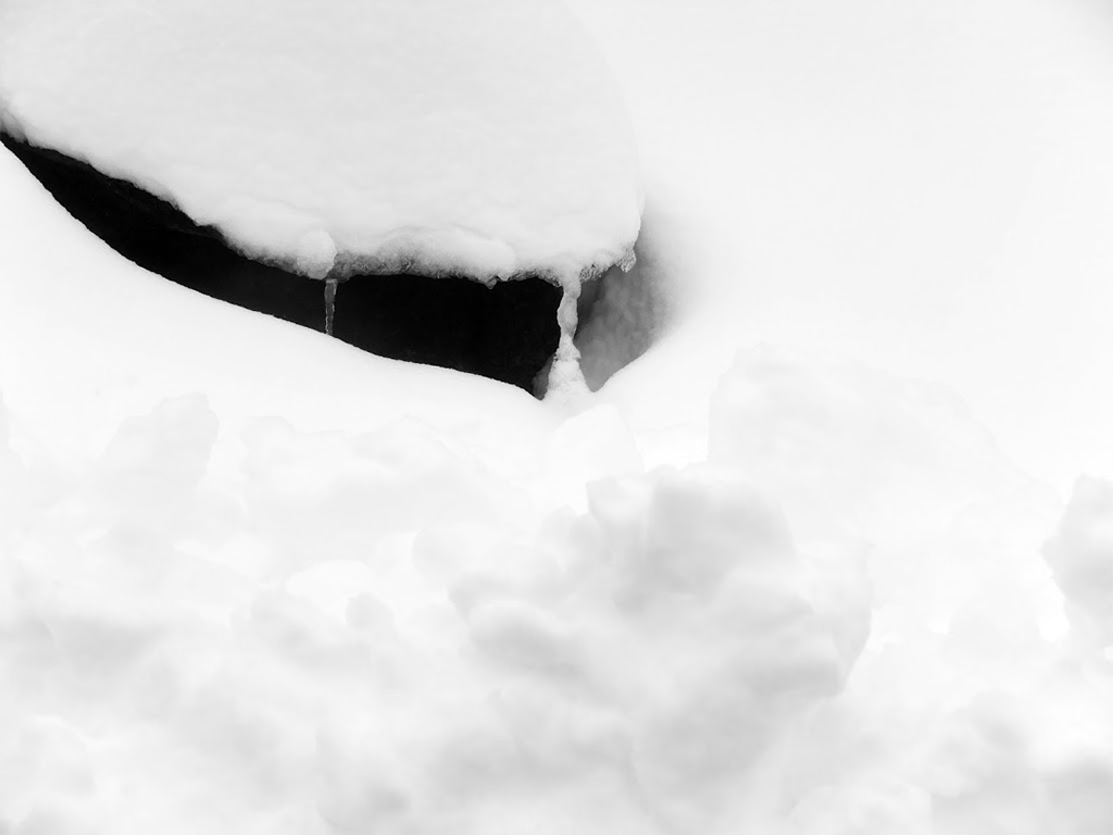 Bianco di Aprile 8