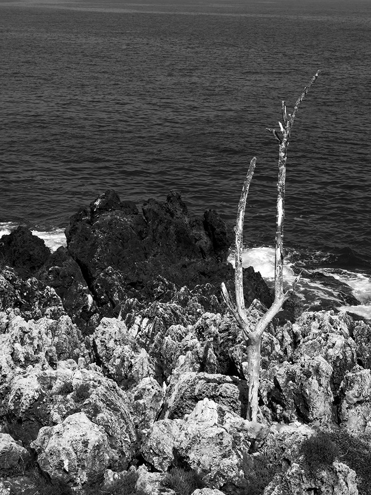 Forme di pietra 08