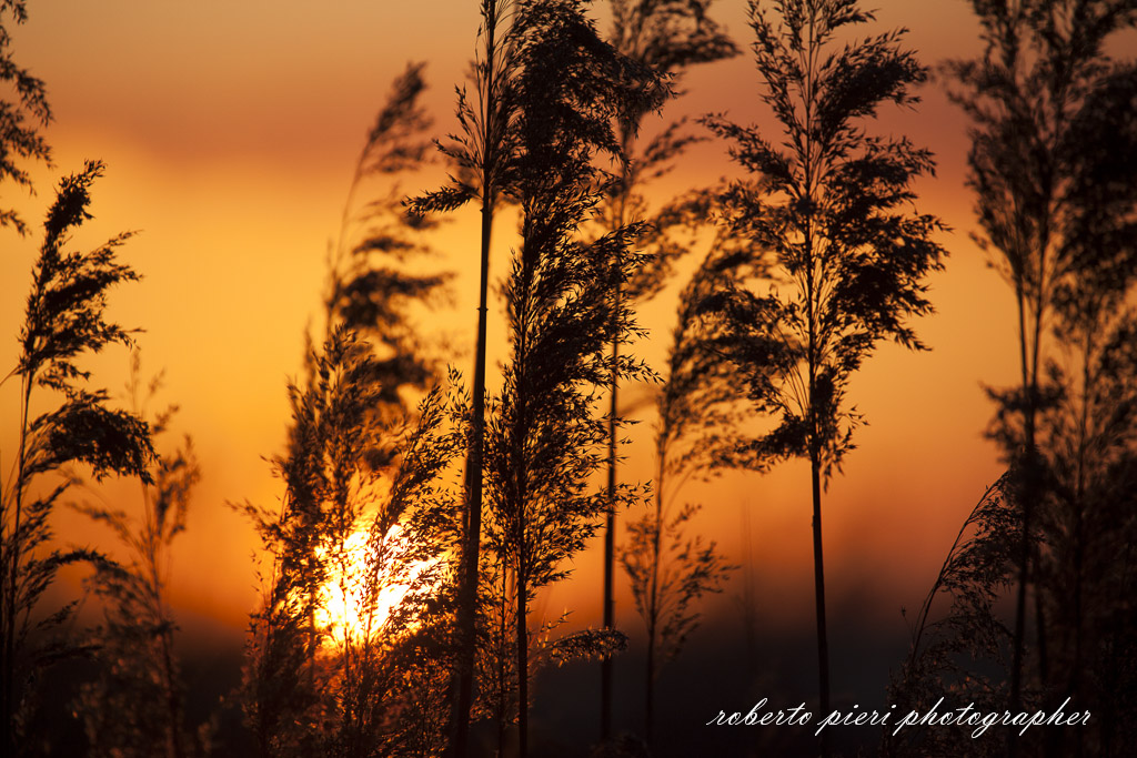 tramonto di fuoco in valle