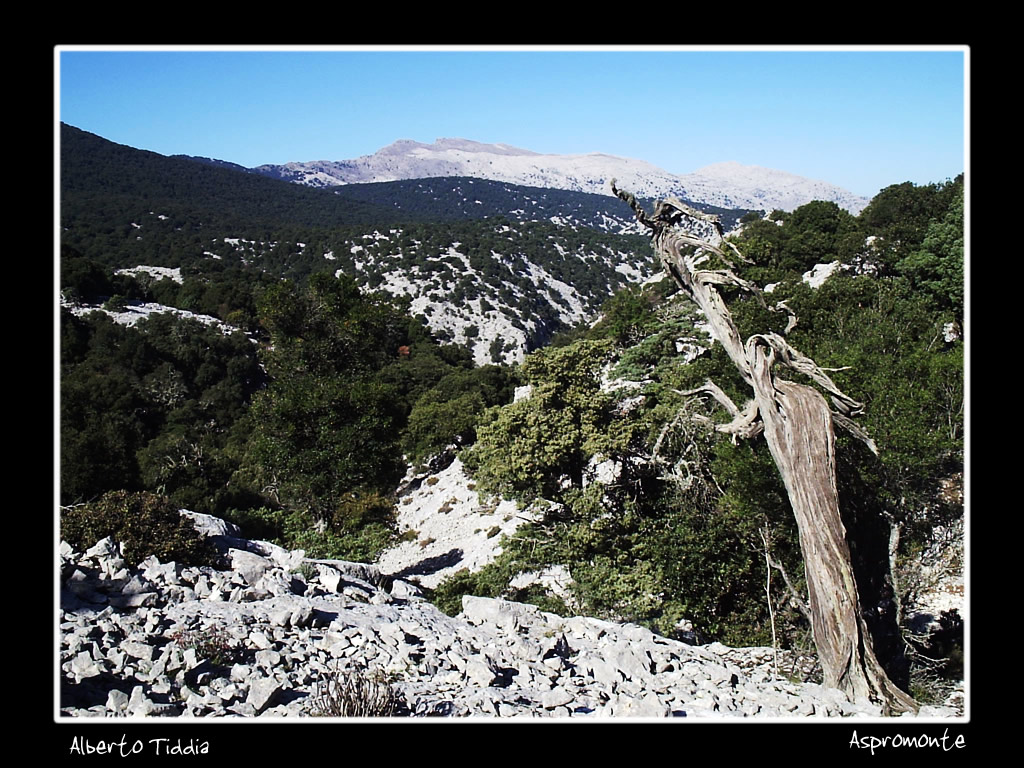 Aspromonte