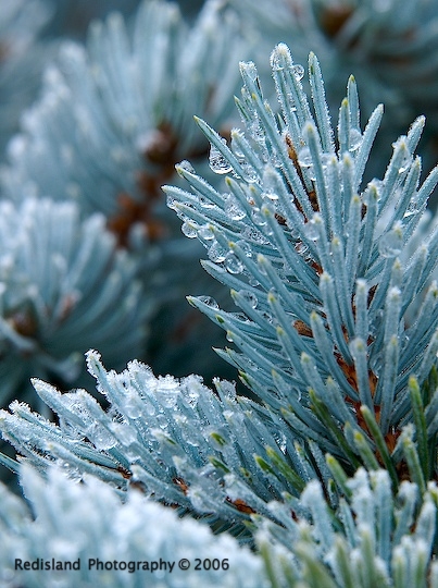 Ice_1