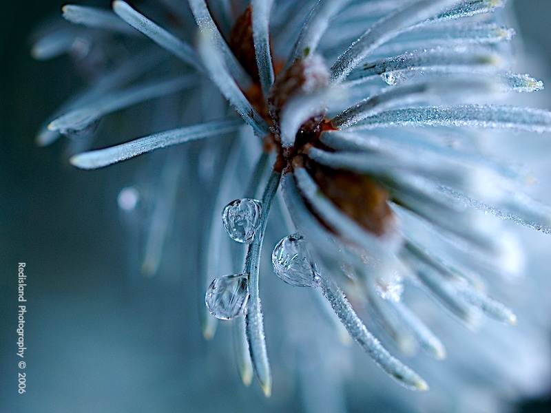 Ice_3