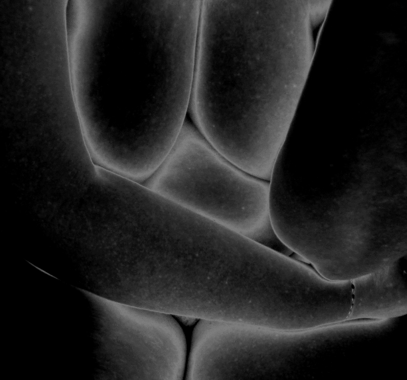b/w