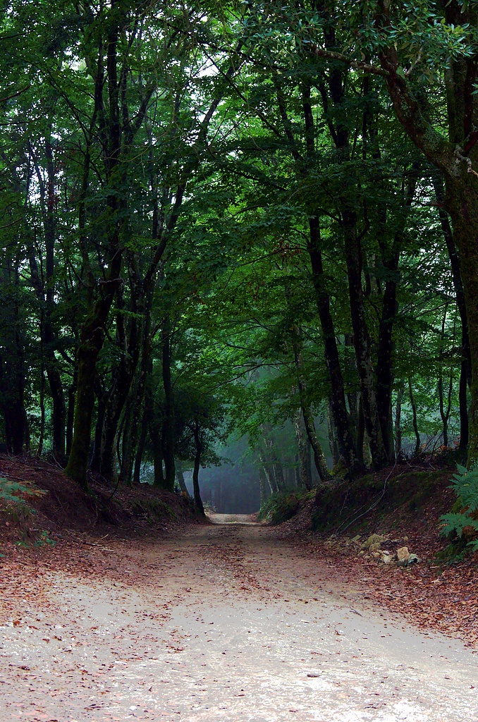 Autunno 1